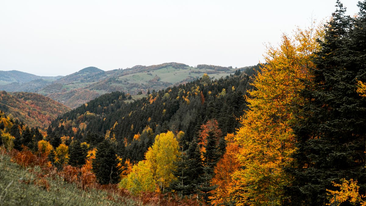 紅葉に染まる山並み