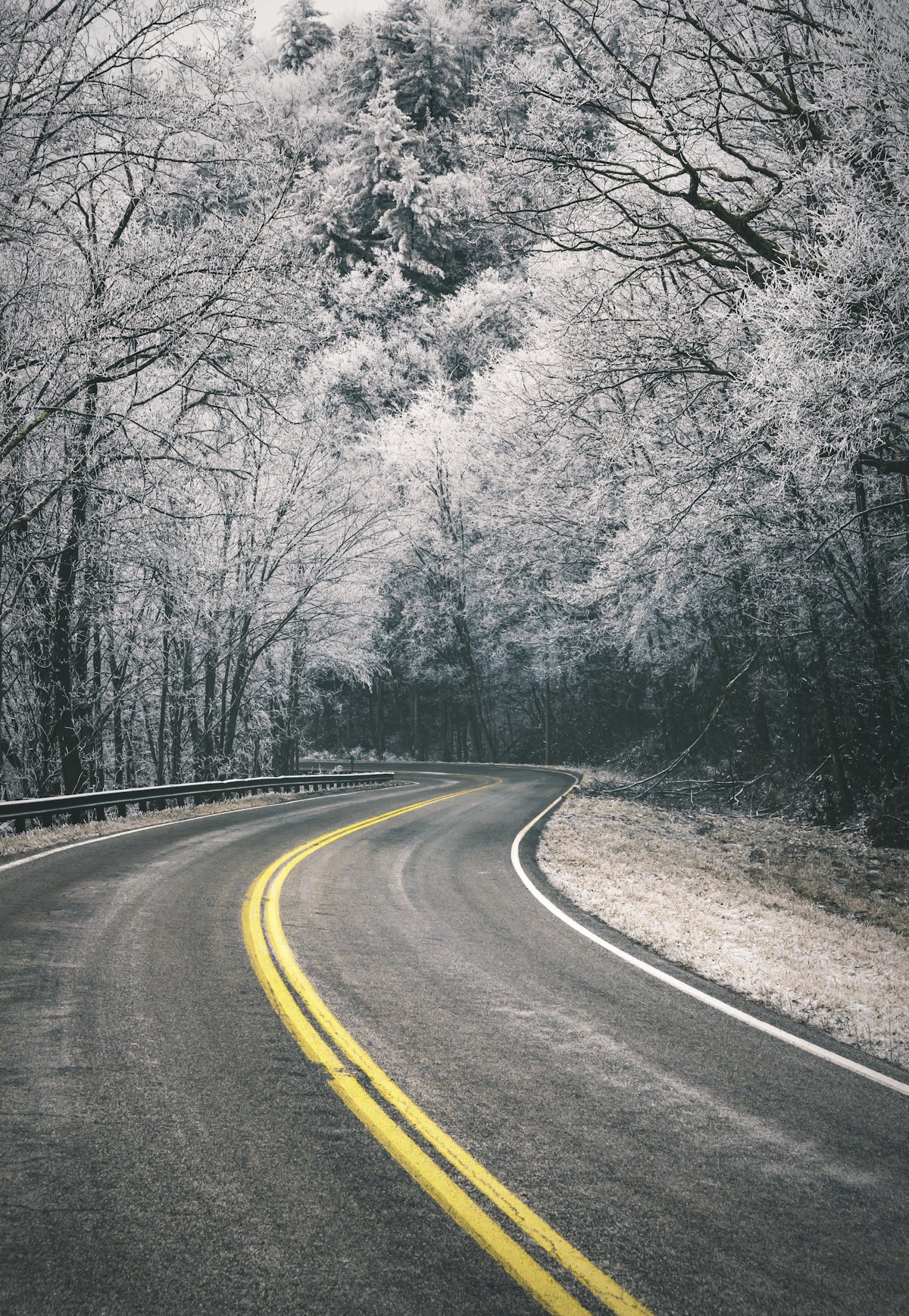 雪の積もった山あいの道路